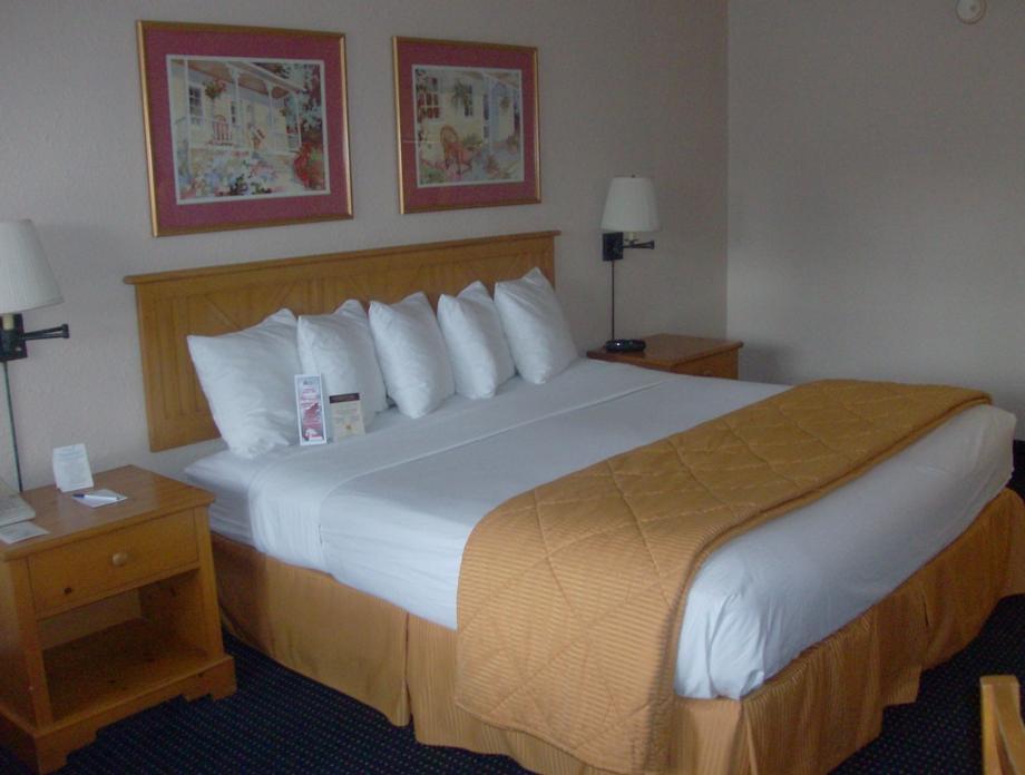 Cabot Lodge - Lake City Room photo